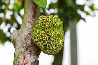 《Apex英雄》新外域故事尘归尘宣传片 预定下季登场